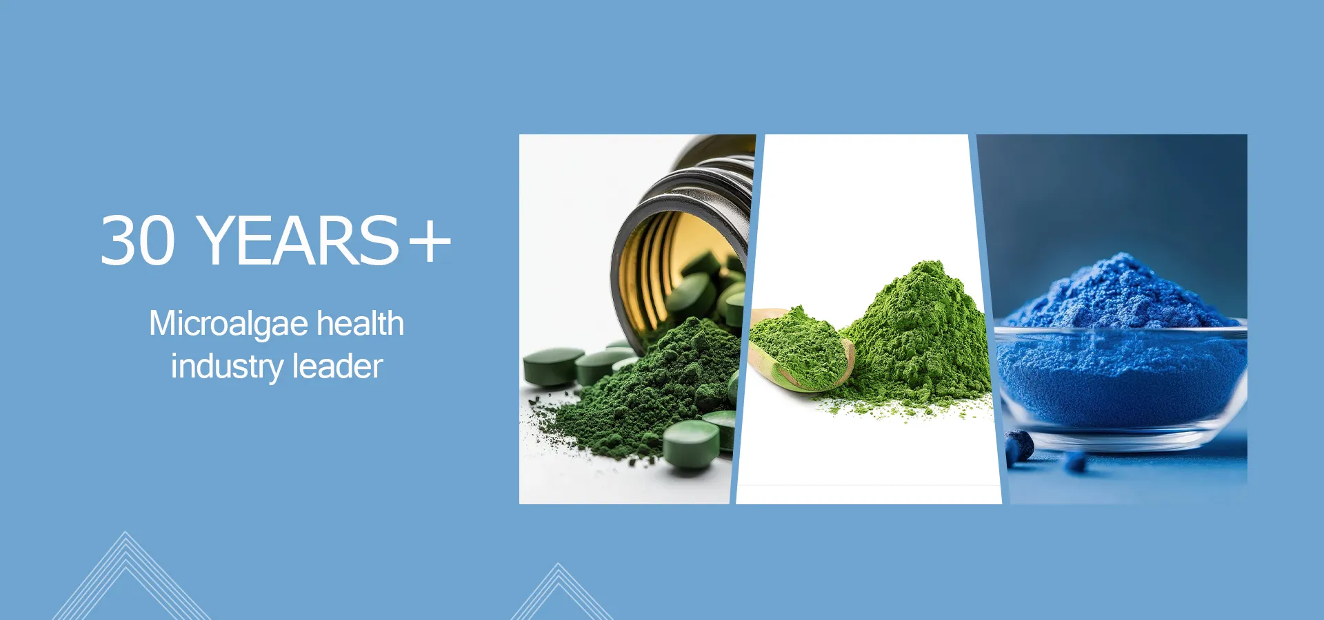 spirulina